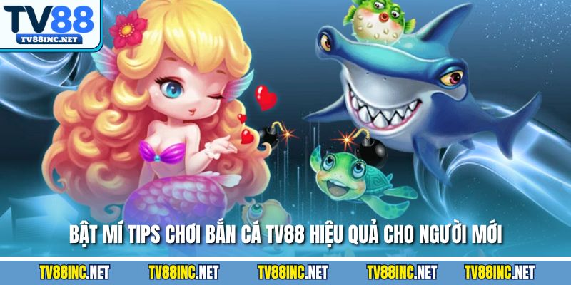 Bật mí tips chơi bắn cá TV88 hiệu quả cho người mới